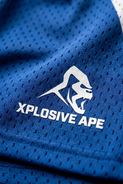 XAPE Armour Flex Shorts - Blue