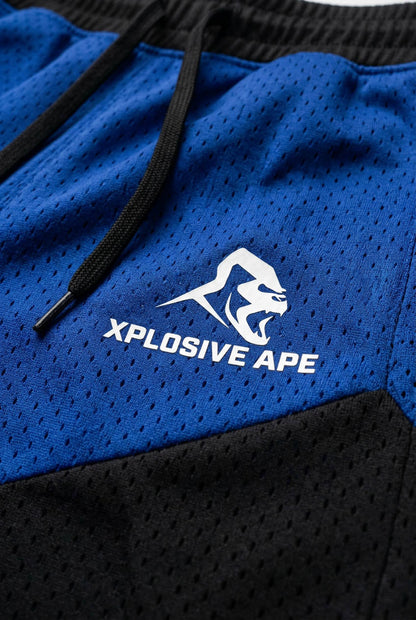 XAPE Rogue Combat Shorts - Blue/Black