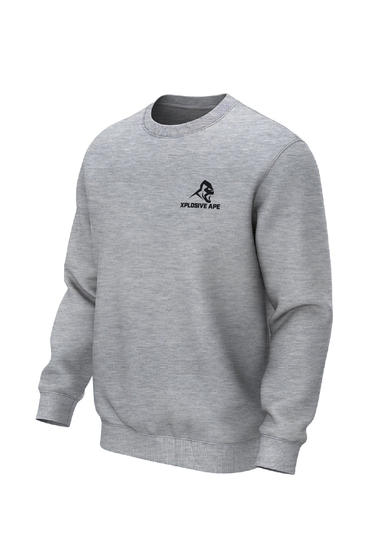 XAPE Futuristic V2 Sweatshirt - Sports Grey