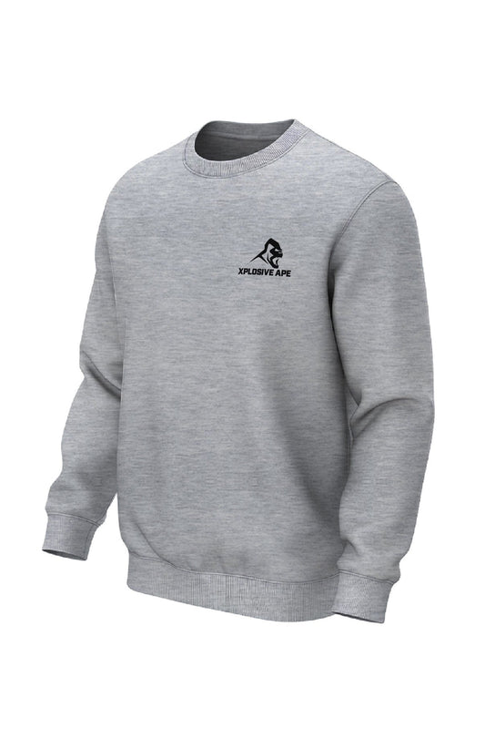XAPE Classic Logo V3 Sweatshirt - Sports Grey