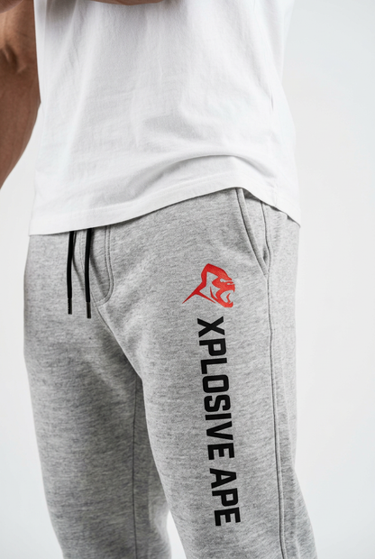 XAPE Originals V4 Joggers - Sports Grey